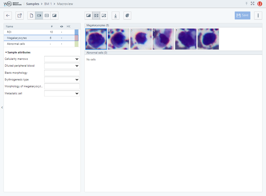 Вкладка “Macroview”, режим “Grouped cells”